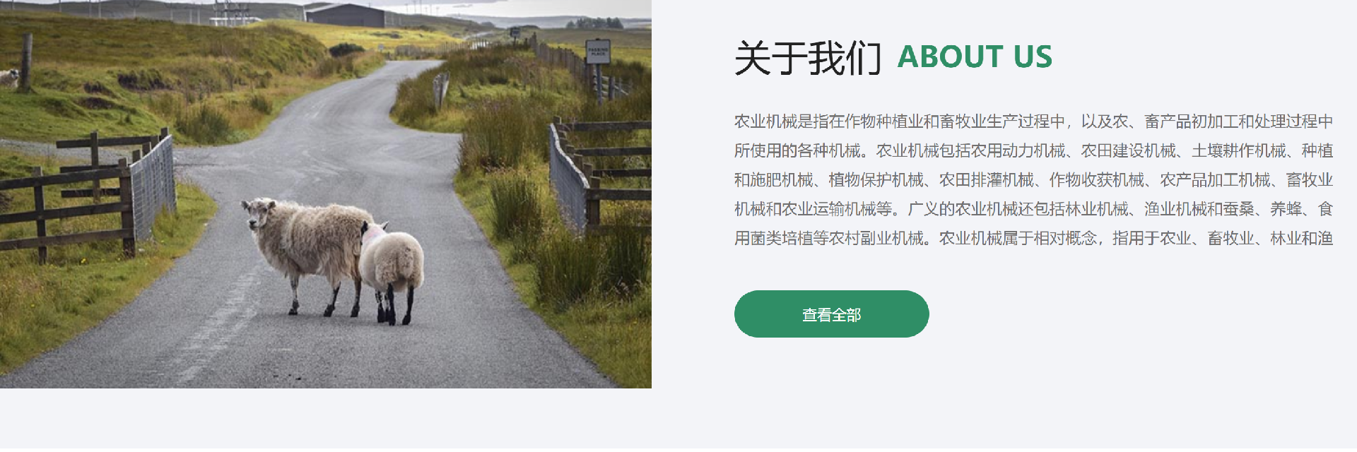 郑州绿色农业网站设计